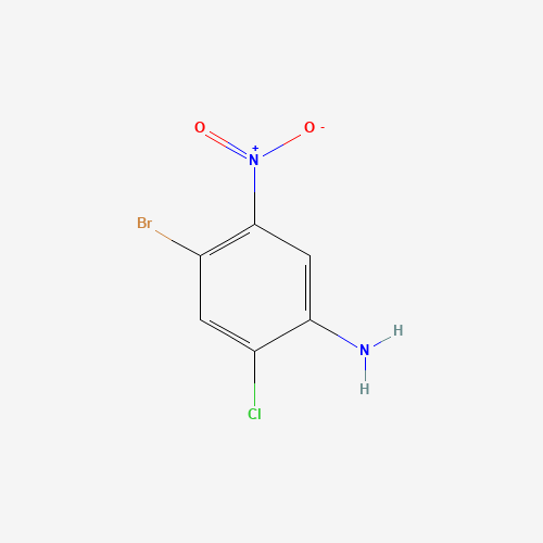 872820-00-3 4-bromo-2-chloro-5-nitroaniline chemical structure