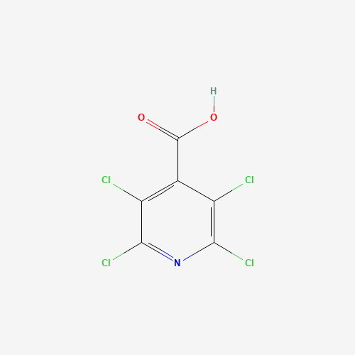 19340-26-2 2,3,5,6-tetrachloropyridine-4-carboxylic acid chemical structure