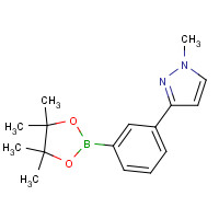 1311285-11-6 1-methyl-3-[3-(4,4,5,5-tetramethyl-1,3,2-dioxaborolan-2-yl)phenyl]pyrazole chemical structure