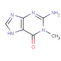 938-85-2 2-amino-1-methyl-7H-purin-6-one chemical structure