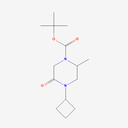 1284246-07-6 tert-butyl 4-cyclobutyl-2-methyl-5-oxopiperazine-1-carboxylate chemical structure