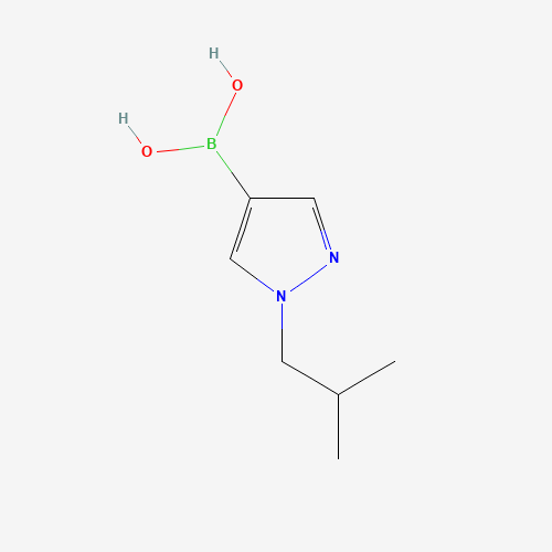 929094-25-7 [1-(2-methylpropyl)pyrazol-4-yl]boronic acid chemical structure