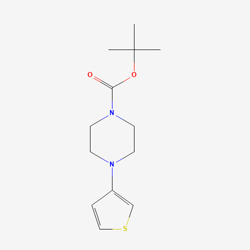 1121599-73-2 tert-butyl 4-thiophen-3-ylpiperazine-1-carboxylate chemical structure