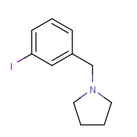 884507-44-2 1-[(3-iodophenyl)methyl]pyrrolidine chemical structure