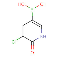 1141886-37-4 (5-chloro-6-oxo-1H-pyridin-3-yl)boronic acid chemical structure