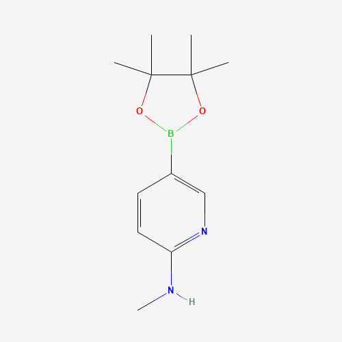1005009-98-2 N-methyl-5-(4,4,5,5-tetramethyl-1,3,2-dioxaborolan-2-yl)pyridin-2-amine chemical structure