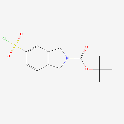 1262408-03-6 tert-butyl 5-chlorosulfonyl-1,3-dihydroisoindole-2-carboxylate chemical structure