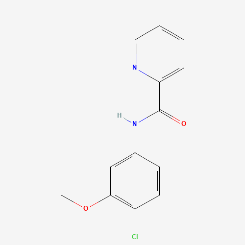 1161205-04-4 N-(4-chloro-3-methoxyphenyl)pyridine-2-carboxamide chemical structure