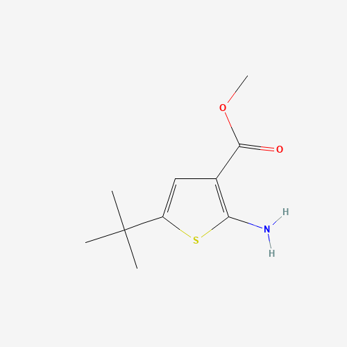 216574-71-9 methyl 2-amino-5-tert-butylthiophene-3-carboxylate chemical structure