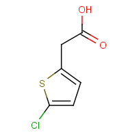 13669-19-7 2-(5-chlorothiophen-2-yl)acetic acid chemical structure