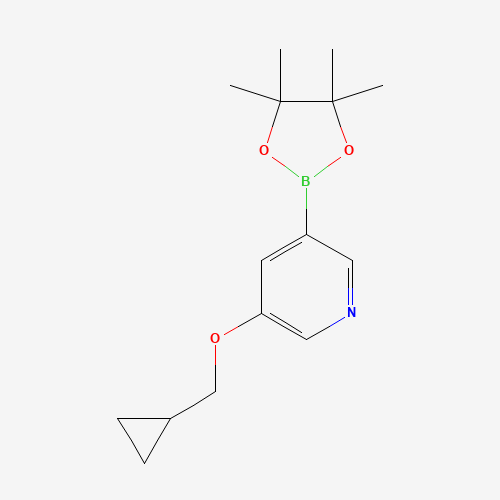 1257553-87-9 3-(cyclopropylmethoxy)-5-(4,4,5,5-tetramethyl-1,3,2-dioxaborolan-2-yl)pyridine chemical structure