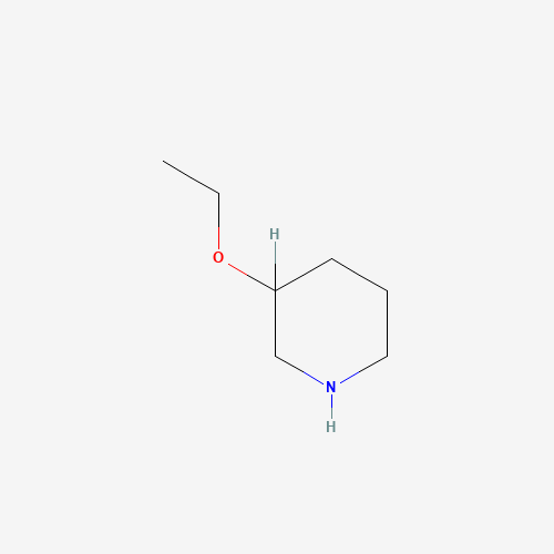 88536-17-8 3-ethoxypiperidine chemical structure