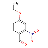 99358-08-4 4-ethoxy-2-nitrobenzaldehyde chemical structure