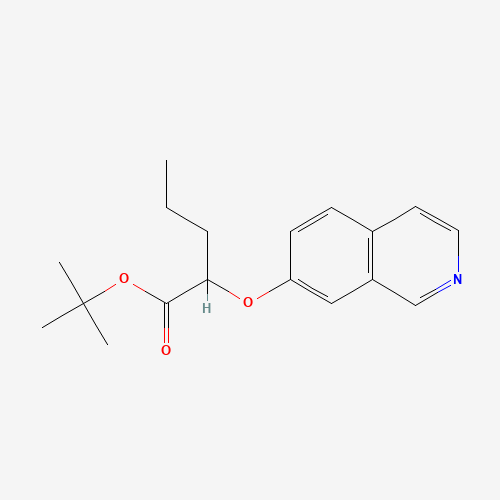 405271-98-9 tert-butyl 2-isoquinolin-7-yloxypentanoate chemical structure