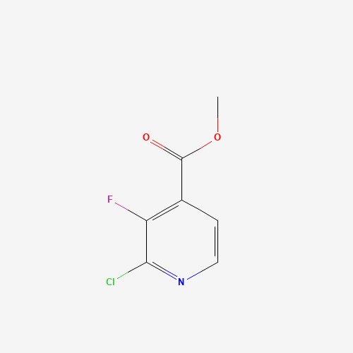 628691-95-2 methyl 2-chloro-3-fluoropyridine-4-carboxylate chemical structure