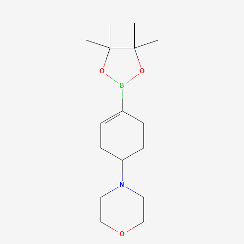 1046793-56-9 4-[4-(4,4,5,5-tetramethyl-1,3,2-dioxaborolan-2-yl)cyclohex-3-en-1-yl]morpholine chemical structure