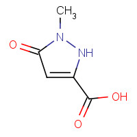 58364-97-9 2-methyl-3-oxo-1H-pyrazole-5-carboxylic acid chemical structure