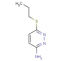 113121-36-1 6-propylsulfanylpyridazin-3-amine chemical structure
