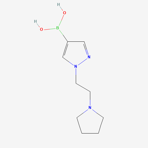 1203671-65-1 [1-(2-pyrrolidin-1-ylethyl)pyrazol-4-yl]boronic acid chemical structure