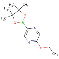 1186041-95-1 2-ethoxy-5-(4,4,5,5-tetramethyl-1,3,2-dioxaborolan-2-yl)pyrazine chemical structure