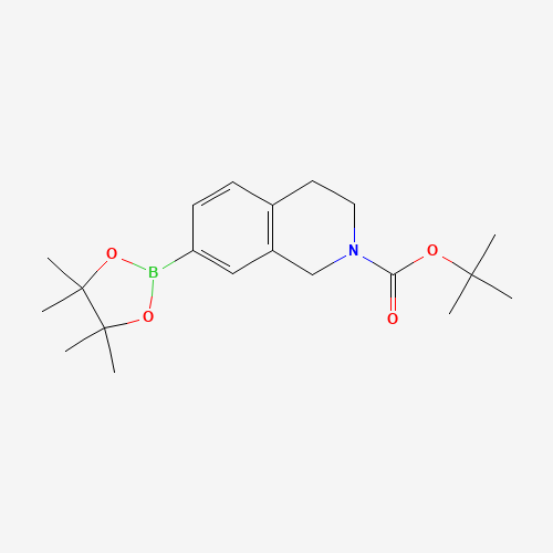 937048-76-5 tert-butyl 7-(4,4,5,5-tetramethyl-1,3,2-dioxaborolan-2-yl)-3,4-dihydro-1H-isoquinoline-2-carboxylate chemical structure