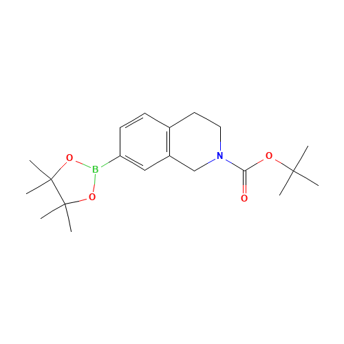 937048-76-5 tert-butyl 7-(4,4,5,5-tetramethyl-1,3,2-dioxaborolan-2-yl)-3,4-dihydro-1H-isoquinoline-2-carboxylate chemical structure