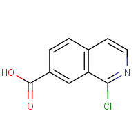 730971-21-8 1-chloroisoquinoline-7-carboxylic acid chemical structure