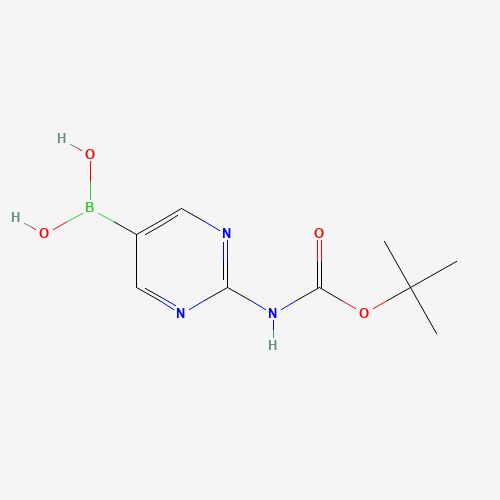 883231-25-2 [2-[(2-methylpropan-2-yl)oxycarbonylamino]pyrimidin-5-yl]boronic acid chemical structure