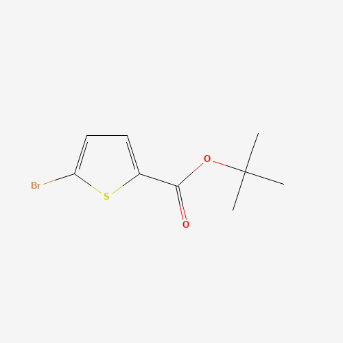 62224-20-8 tert-butyl 5-bromothiophene-2-carboxylate chemical structure
