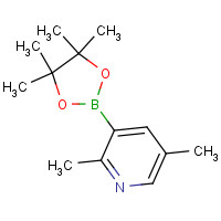 1309980-12-8 2,5-dimethyl-3-(4,4,5,5-tetramethyl-1,3,2-dioxaborolan-2-yl)pyridine chemical structure