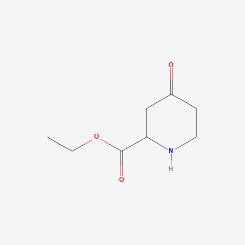 51339-61-8 ethyl 4-oxopiperidine-2-carboxylate chemical structure