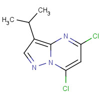771510-32-8 5,7-dichloro-3-propan-2-ylpyrazolo[1,5-a]pyrimidine chemical structure