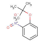 83747-12-0 1-[(2-methylpropan-2-yl)oxy]-2-nitrobenzene chemical structure