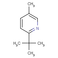 56029-43-7 2-tert-butyl-5-methylpyridine chemical structure