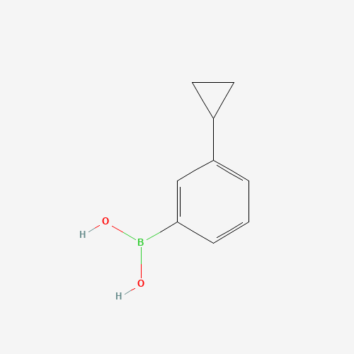 1049730-10-0 (3-cyclopropylphenyl)boronic acid chemical structure