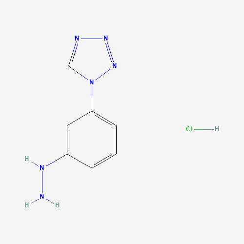 847606-72-8 [3-(tetrazol-1-yl)phenyl]hydrazine;hydrochloride chemical structure