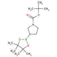 1312712-22-3 tert-butyl 3-(4,4,5,5-tetramethyl-1,3,2-dioxaborolan-2-yl)pyrrolidine-1-carboxylate chemical structure