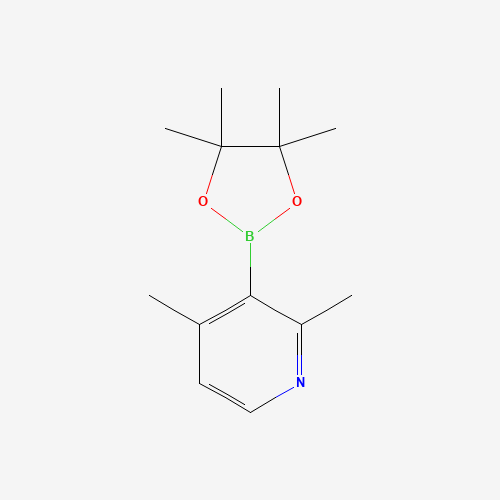 1421252-89-2 2,4-dimethyl-3-(4,4,5,5-tetramethyl-1,3,2-dioxaborolan-2-yl)pyridine chemical structure