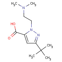 1012879-69-4 5-tert-butyl-2-[2-(dimethylamino)ethyl]pyrazole-3-carboxylic acid chemical structure