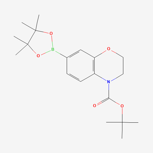 1467057-57-3 tert-butyl 7-(4,4,5,5-tetramethyl-1,3,2-dioxaborolan-2-yl)-2,3-dihydro-1,4-benzoxazine-4-carboxylate chemical structure
