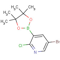 1073354-79-6 5-bromo-2-chloro-3-(4,4,5,5-tetramethyl-1,3,2-dioxaborolan-2-yl)pyridine chemical structure