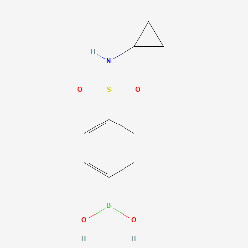 871329-67-8 [4-(cyclopropylsulfamoyl)phenyl]boronic acid chemical structure