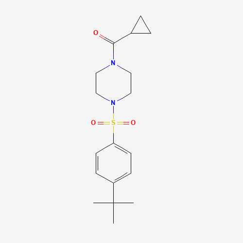 925580-64-9 [4-(4-tert-butylphenyl)sulfonylpiperazin-1-yl]-cyclopropylmethanone chemical structure