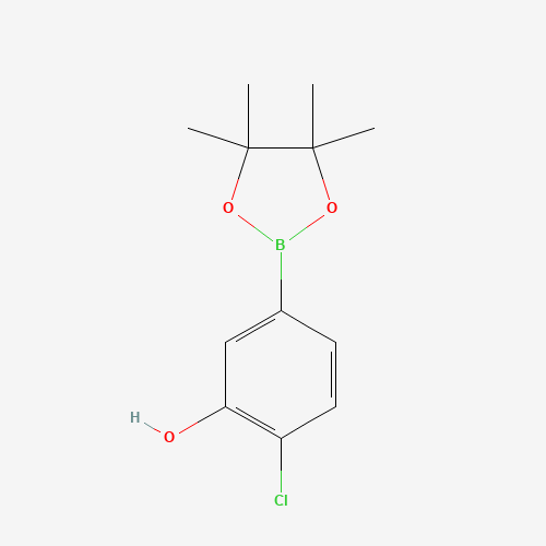 1443151-85-6 2-chloro-5-(4,4,5,5-tetramethyl-1,3,2-dioxaborolan-2-yl)phenol chemical structure