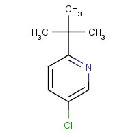 56029-44-8 2-tert-butyl-5-chloropyridine chemical structure