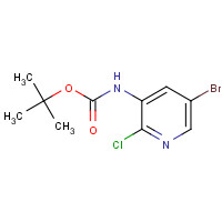 193888-15-2 tert-butyl N-(5-bromo-2-chloropyridin-3-yl)carbamate chemical structure