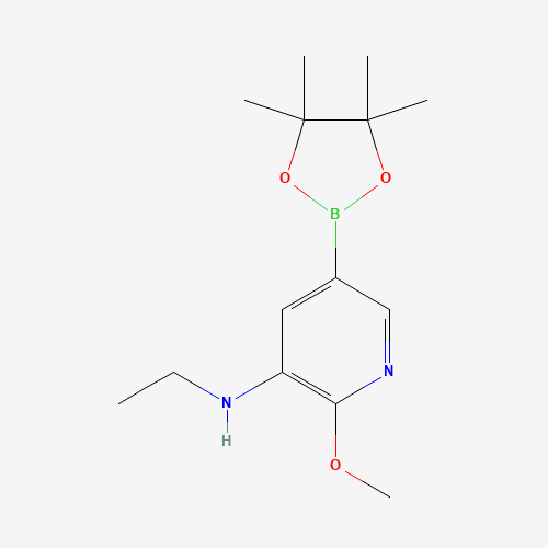1257554-09-8 N-ethyl-2-methoxy-5-(4,4,5,5-tetramethyl-1,3,2-dioxaborolan-2-yl)pyridin-3-amine chemical structure