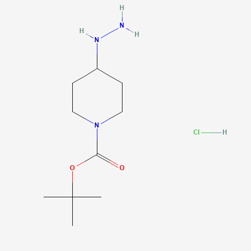 1258001-18-1 tert-butyl 4-hydrazinylpiperidine-1-carboxylate;hydrochloride chemical structure