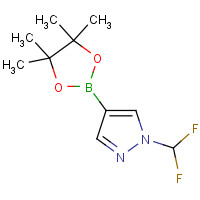 1206640-82-5 1-(difluoromethyl)-4-(4,4,5,5-tetramethyl-1,3,2-dioxaborolan-2-yl)pyrazole chemical structure