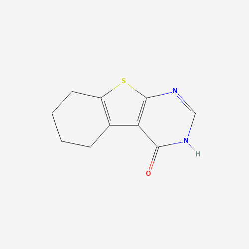 14346-24-8 5,6,7,8-tetrahydro-3H-[1]benzothiolo[2,3-d]pyrimidin-4-one chemical structure